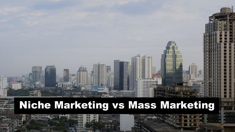 Niche Marketing vs Mass Marketing: For  Successful Business